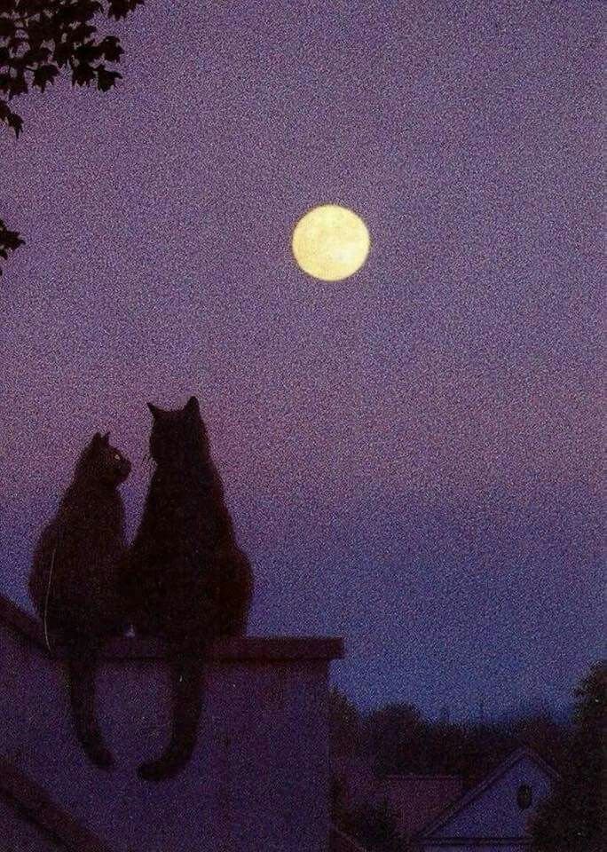 Aesthetics (@aestheticspost_) on Twitter photo 