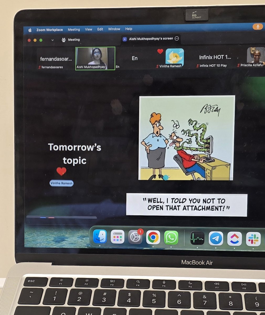 Fernanda tweet media