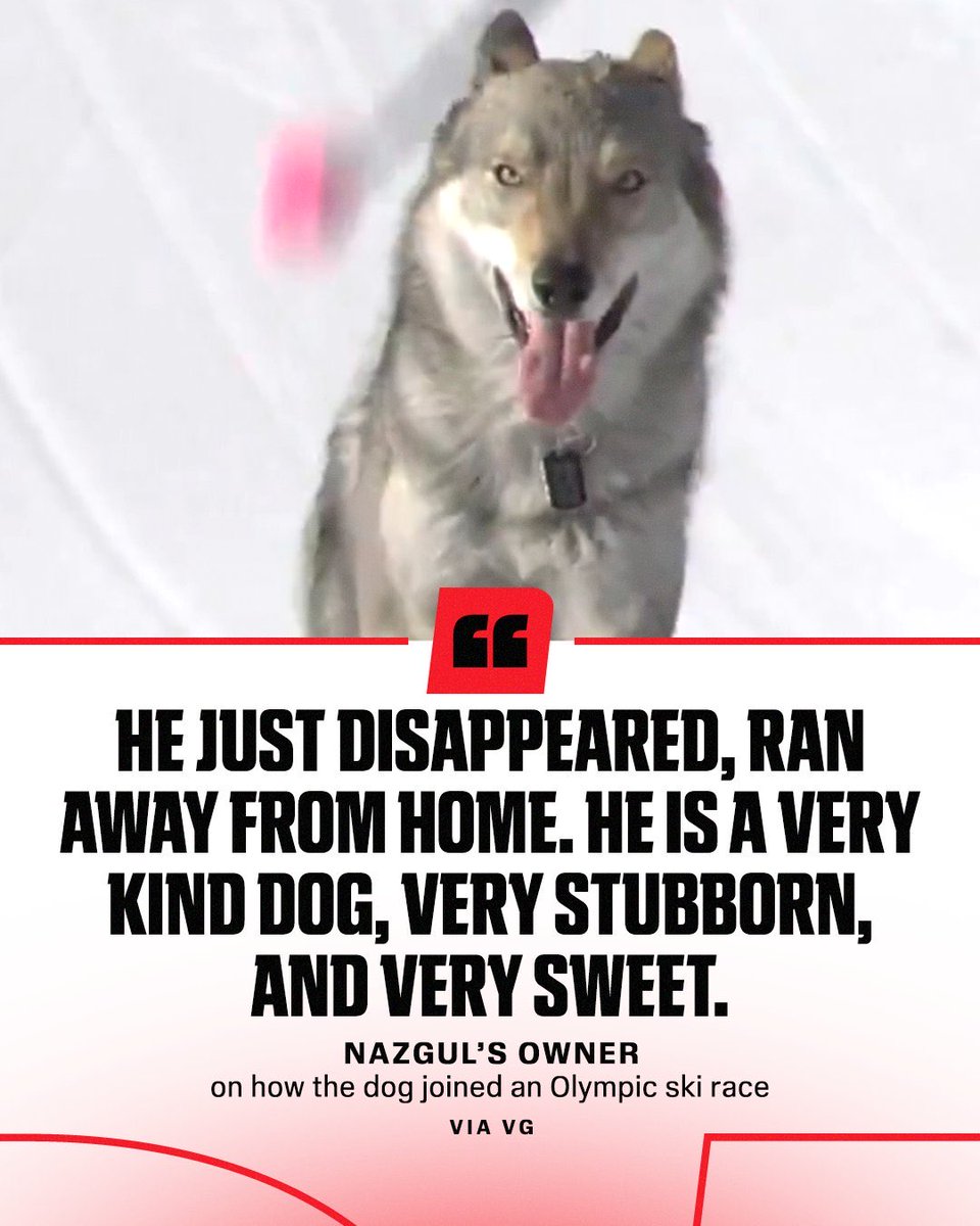 Emily E. Williams tweet media