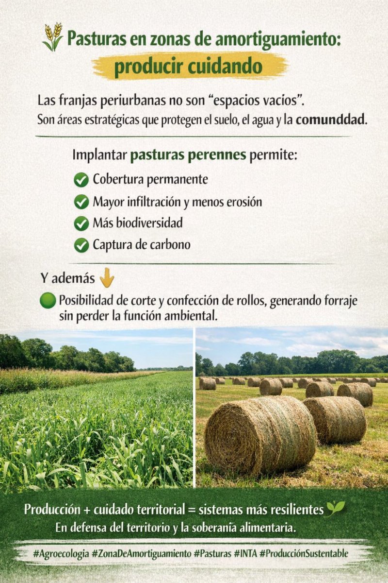 Melisa Defagot tweet media