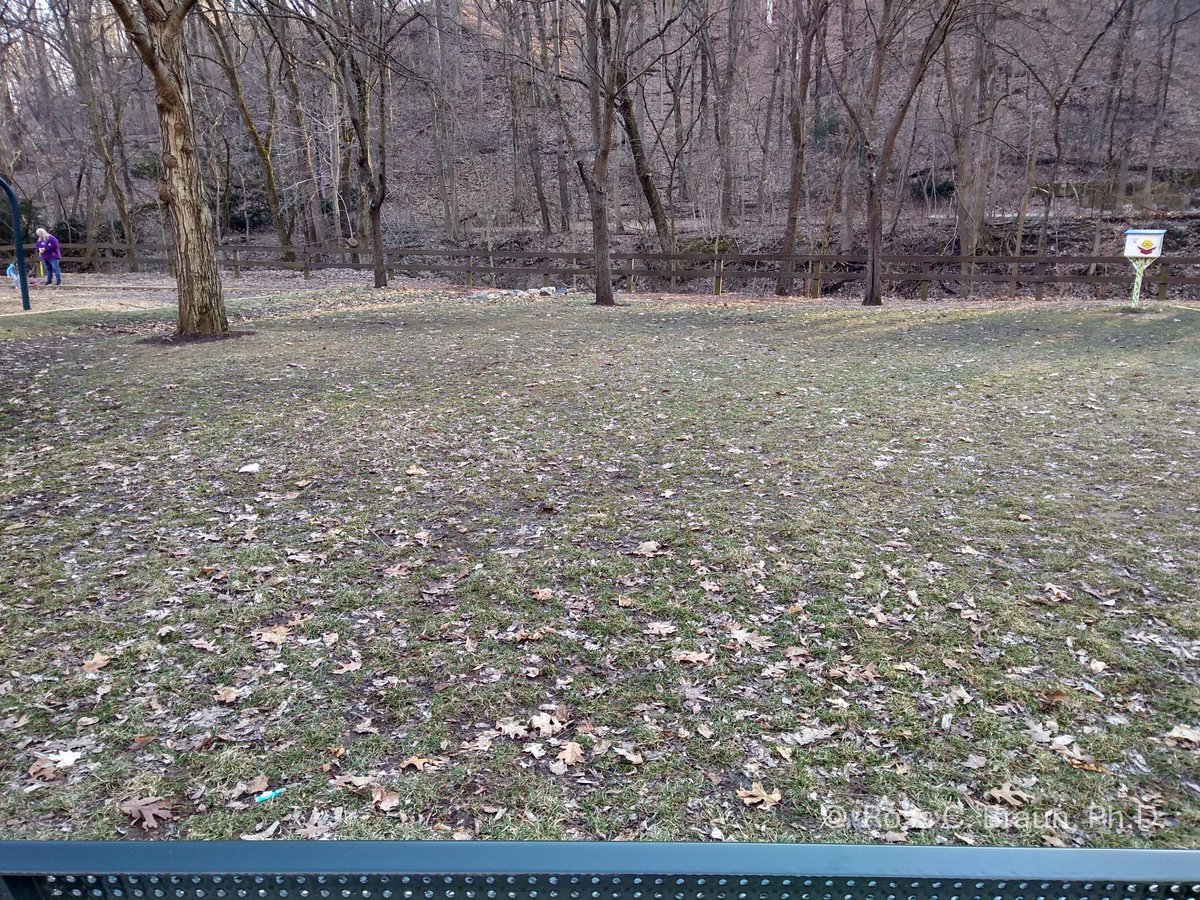 K-State's Turf and Landscape Management Team tweet media