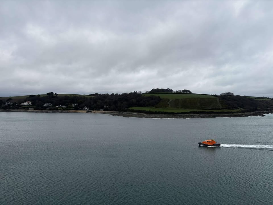 The Lizard Lifeboat tweet media