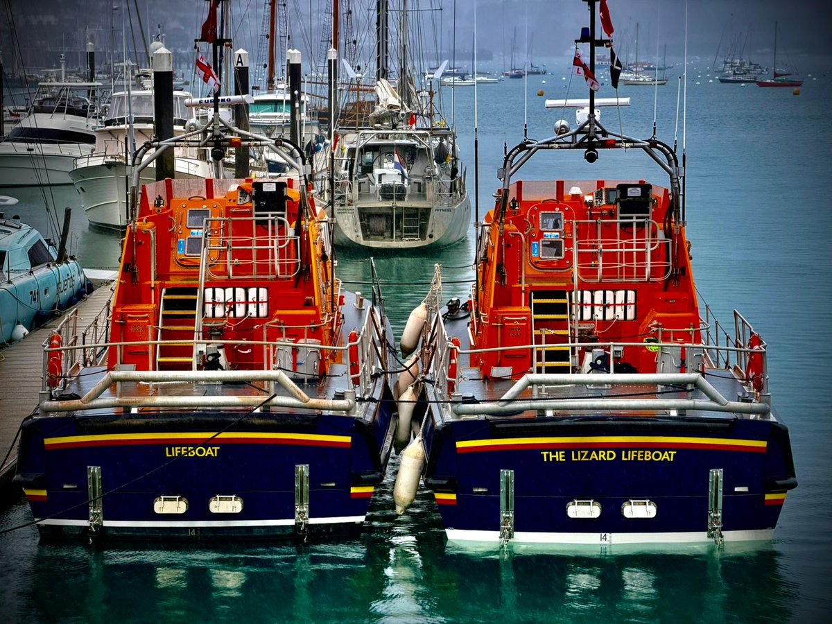 The Lizard Lifeboat tweet media