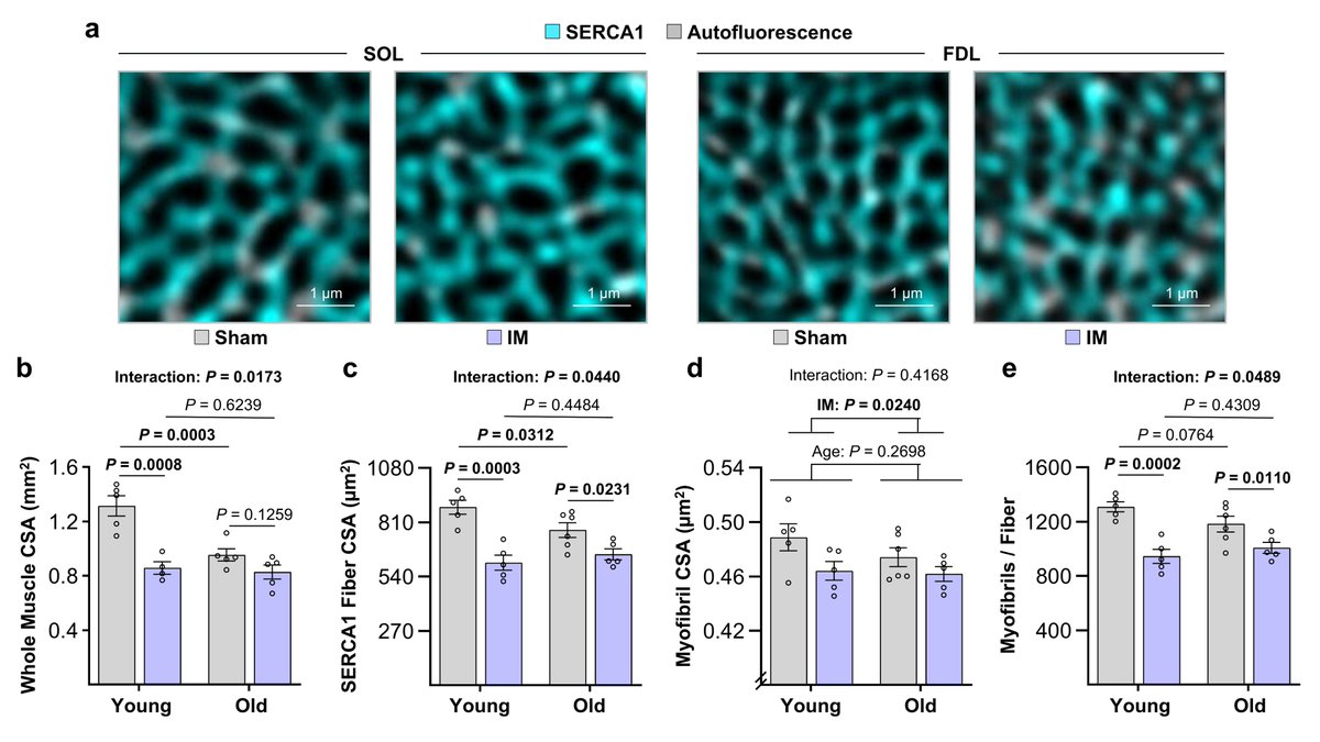 The Hornberger Lab tweet media