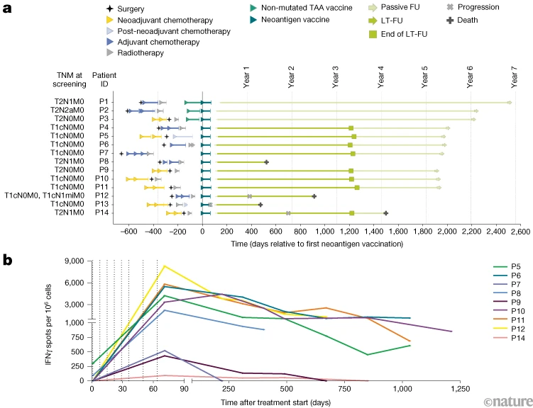 DrSamuelBHume's tweet image. More early cancer vaccine data, in triple-negative breast cancer!

1. Tumours were removed by surgery

2. Vaccines were generated against tumours' specific antigens (the 'neoantigens') 

3. This trains the immune system and helps prevent the cancer from coming back