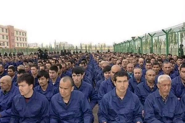 DivDivy 🇨🇱 tweet media