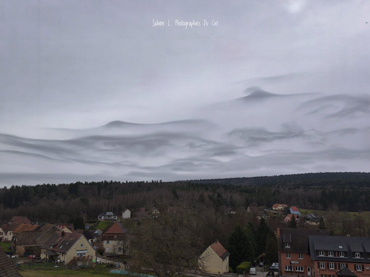 SabineL67's tweet photo. Des superciliums ? Nuages en forme de sourcils ? Ils étaient éphémères en début d'après-midi, juste avant l'arrivée de l'épisode neigeux !!
📷 #Birkenwald (67) 

#Météo #Météo67 #supercilium https://t.co/kT1nKdcXe7