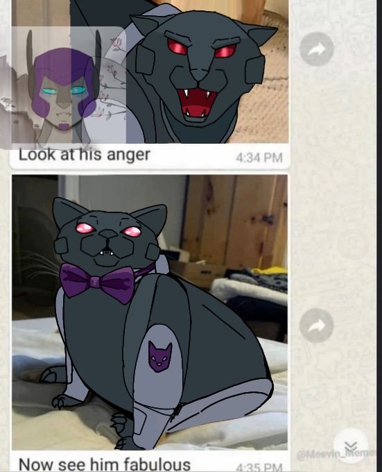 Gecko ❦(Kisser Everything)❦ tweet media