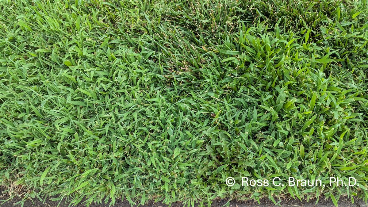 K-State's Turf and Landscape Management Team tweet media