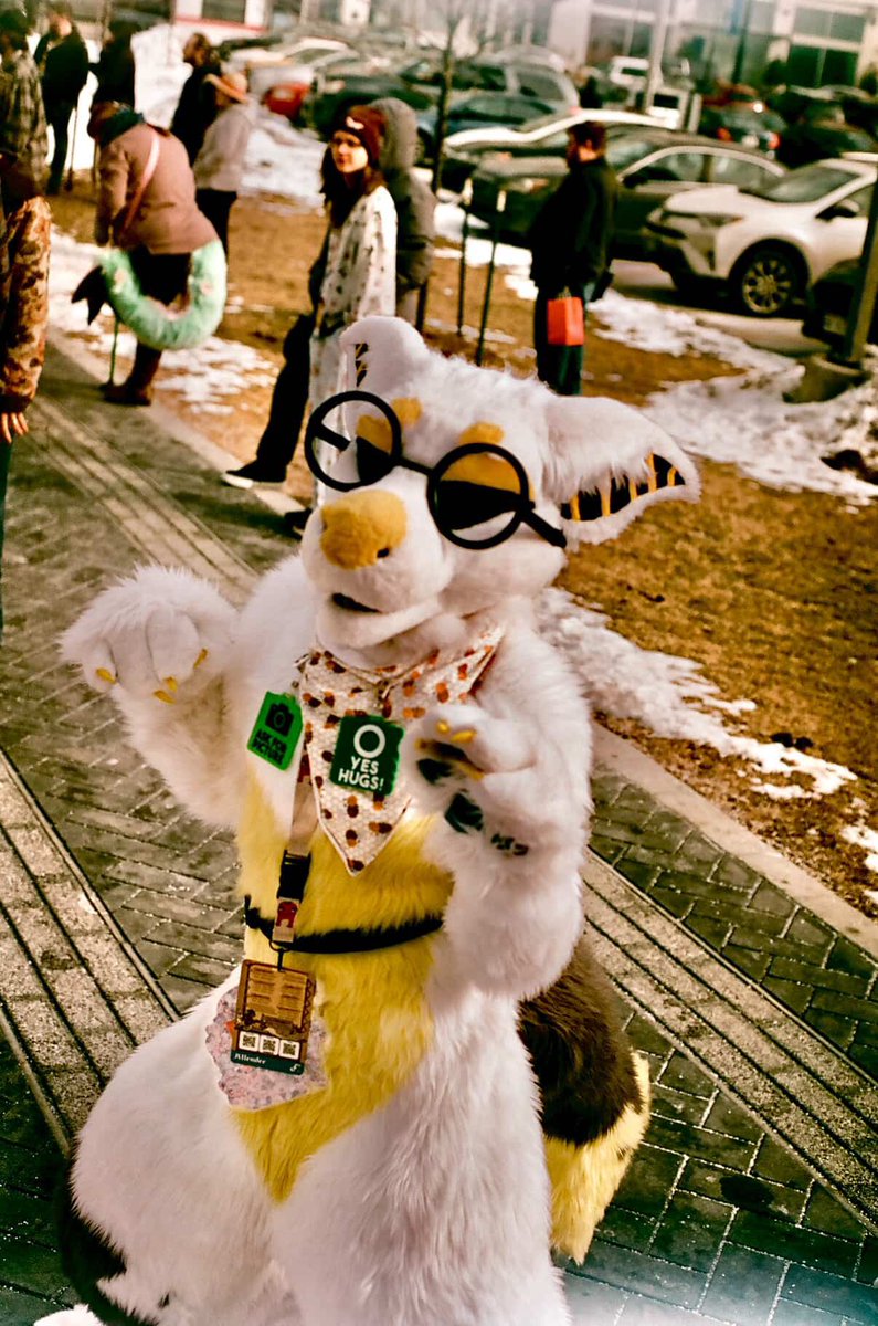 Tango Mango 🥭 tweet media