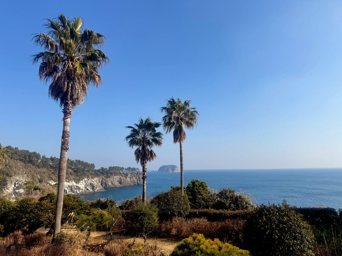 이몽잉 tweet media