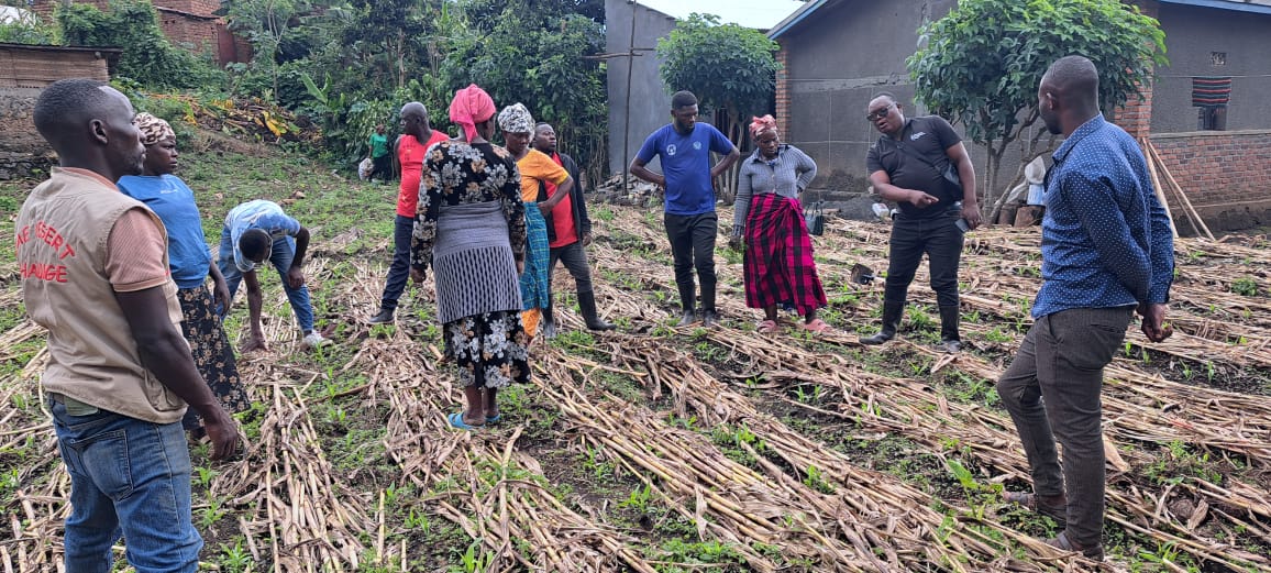 PDD(Peace and Durable Development) tweet media