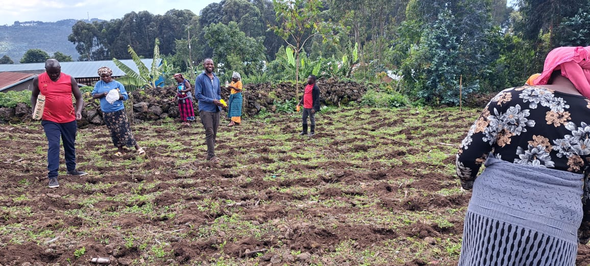 PDD(Peace and Durable Development) tweet media