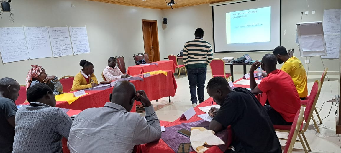 PDD(Peace and Durable Development) tweet media