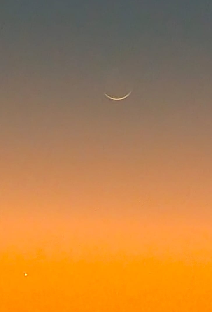 Abdullah tweet media