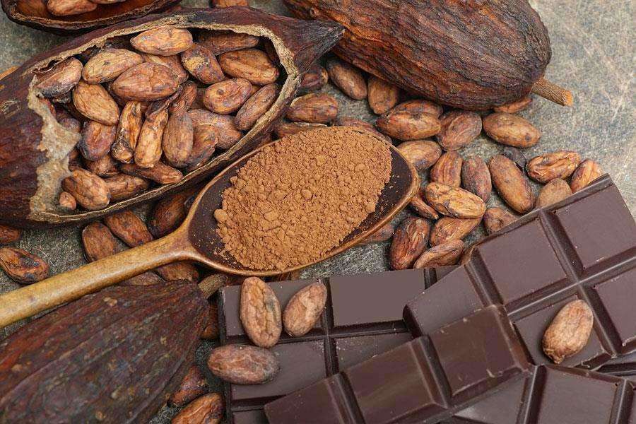 karimanesr's tweet photo. Efectos medicinales del cacao  🍫🫕🍫 

Nutre, tonifica, relaja, alivia la fatiga, calienta el cuerpo, previene la anemia, regula el estómago y los intestinos, fortalece los huesos, mejora la función diurética, alivia el estrés, mejora la circulación sanguínea, alivia la ansiedad.
Calma tanto el cuerpo como la mente.