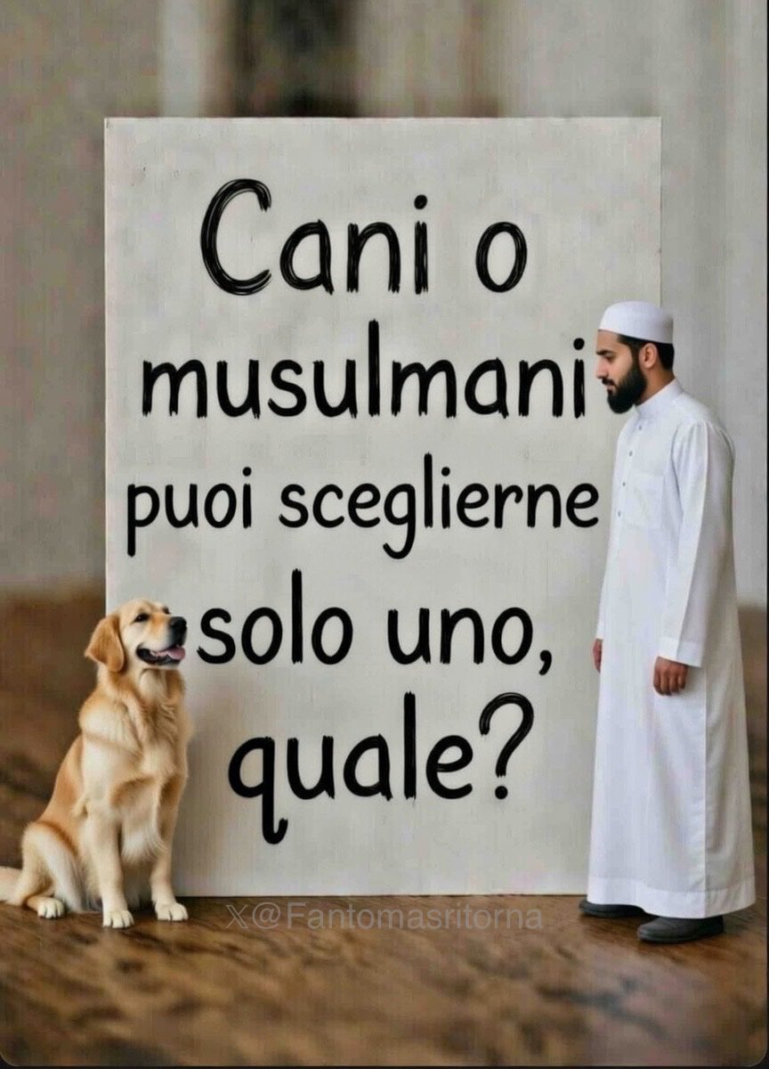 𝔻𝕆ℝ𝕀𝔸ℕ 𝔾ℝ𝔸𝕐 ™🇮🇹 𝕏 🧱🗿 ✠ tweet media