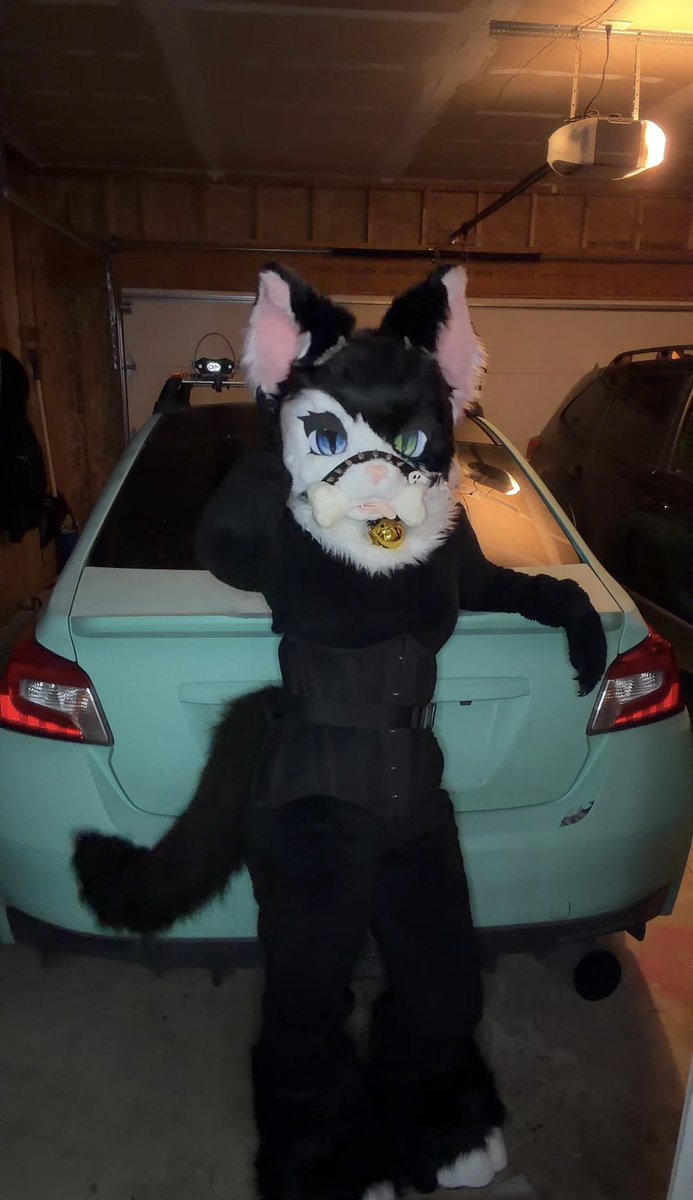 tifu_kage_neko's tweet photo. Where’s my subuwu gang?
.
.
.
.
#subuwu #carfurry #furry #fursuit #yeen https://t.co/SFHaI2CQl1