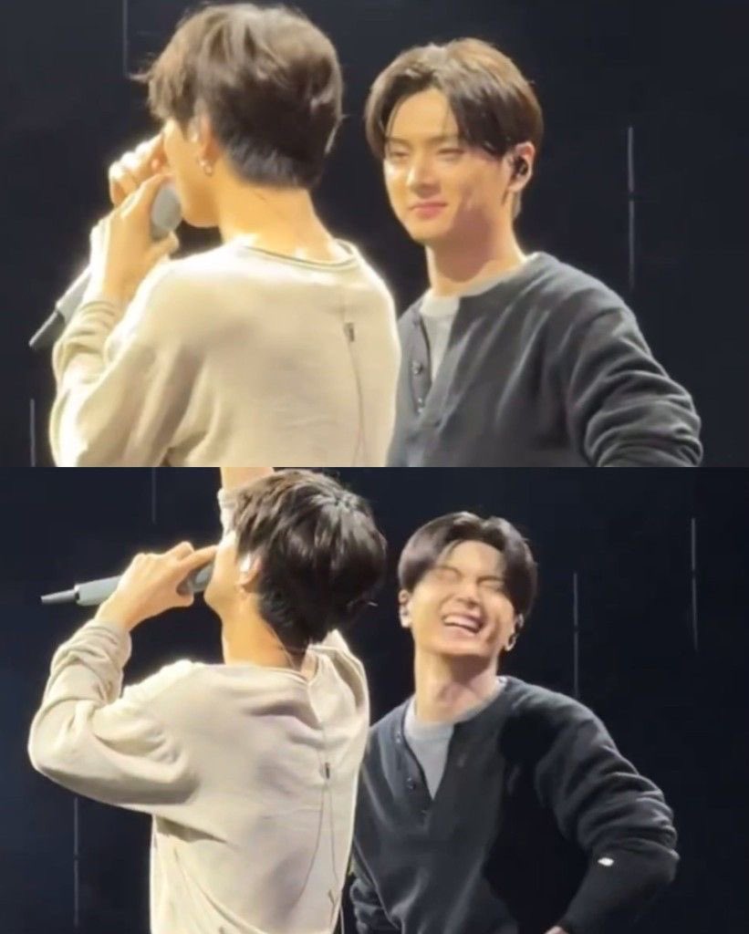 감자밭 tweet media