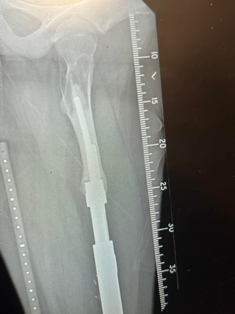 Gary Howes🎗 tweet media