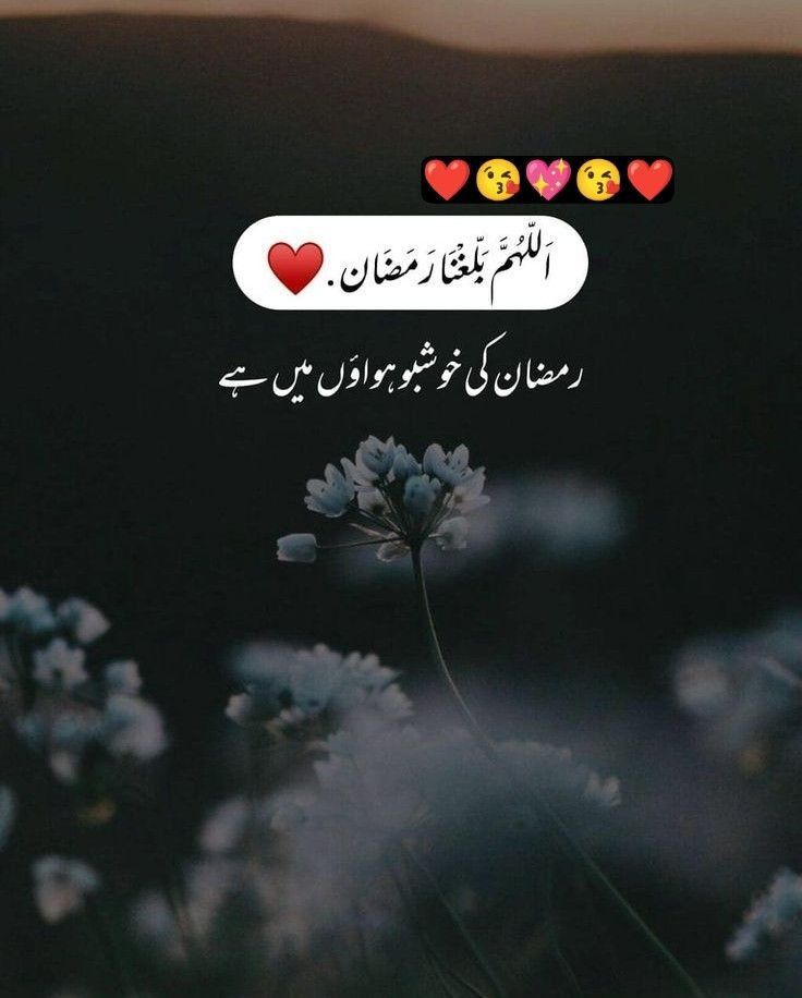 🖤 Ayeeshaa Khaan 🖤 tweet media