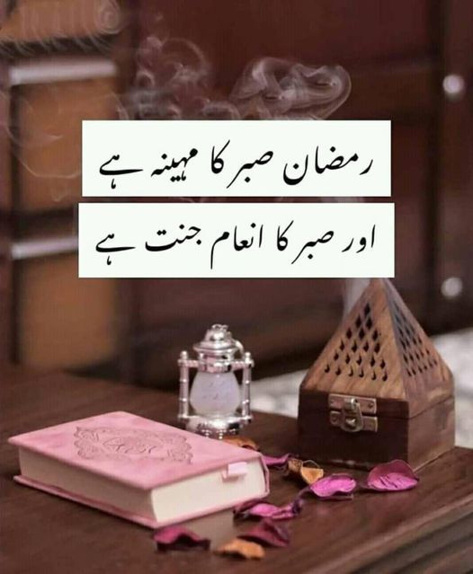 🖤 Ayeeshaa Khaan 🖤 tweet media