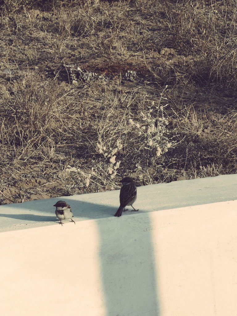 📿

गिले शिकवे सब भुला भी दो
दुनिया सरायफानी है l 
बहुत थोड़ी है उम्र मुहब्बत की;और
बहुत कम ये जिंदगानी हैं l 

•Suren 

<a href="/lov3_Nature/">Lov3Nature🍃</a>