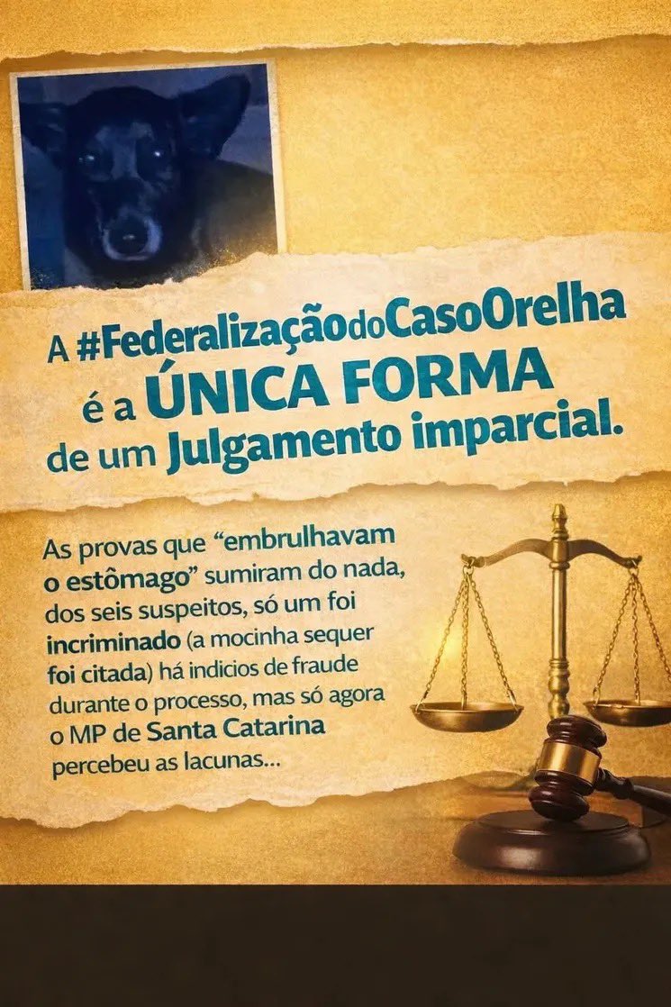 Jogaram Santa Catarina na lama 

#justicapororelha 
#BRAZILFORORELHA