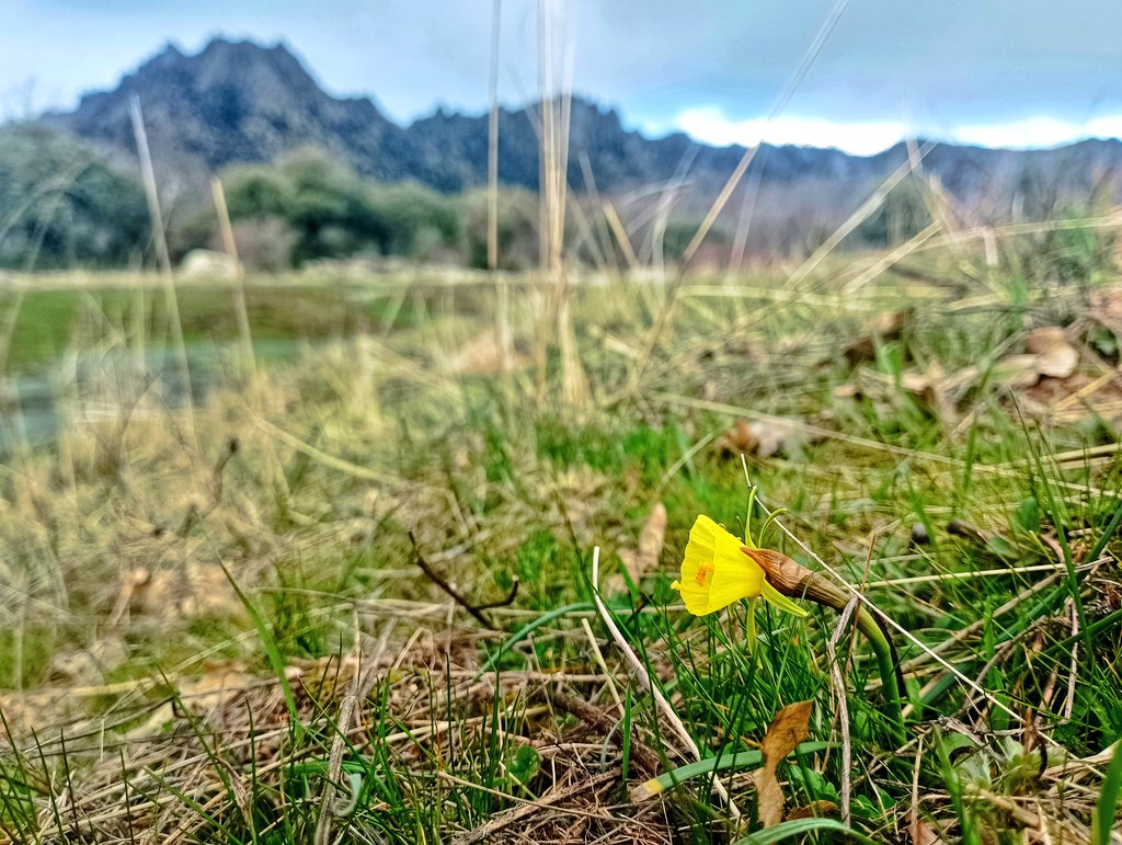 adventicia 🍃 tweet media