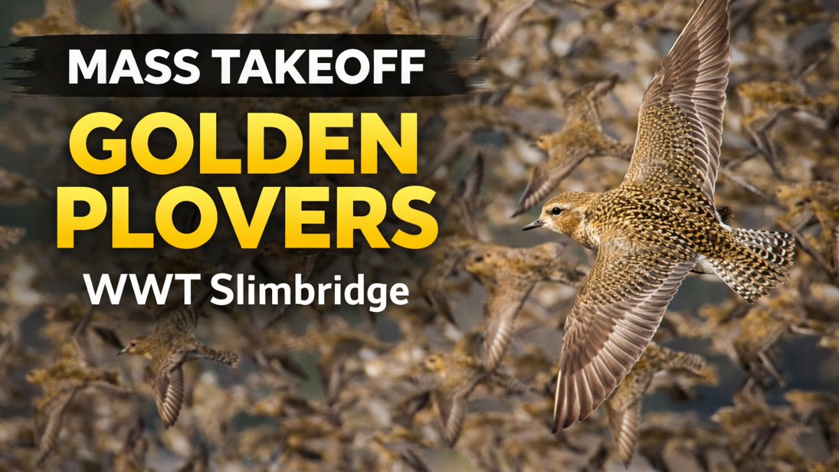 Tam & Lauren tweet media