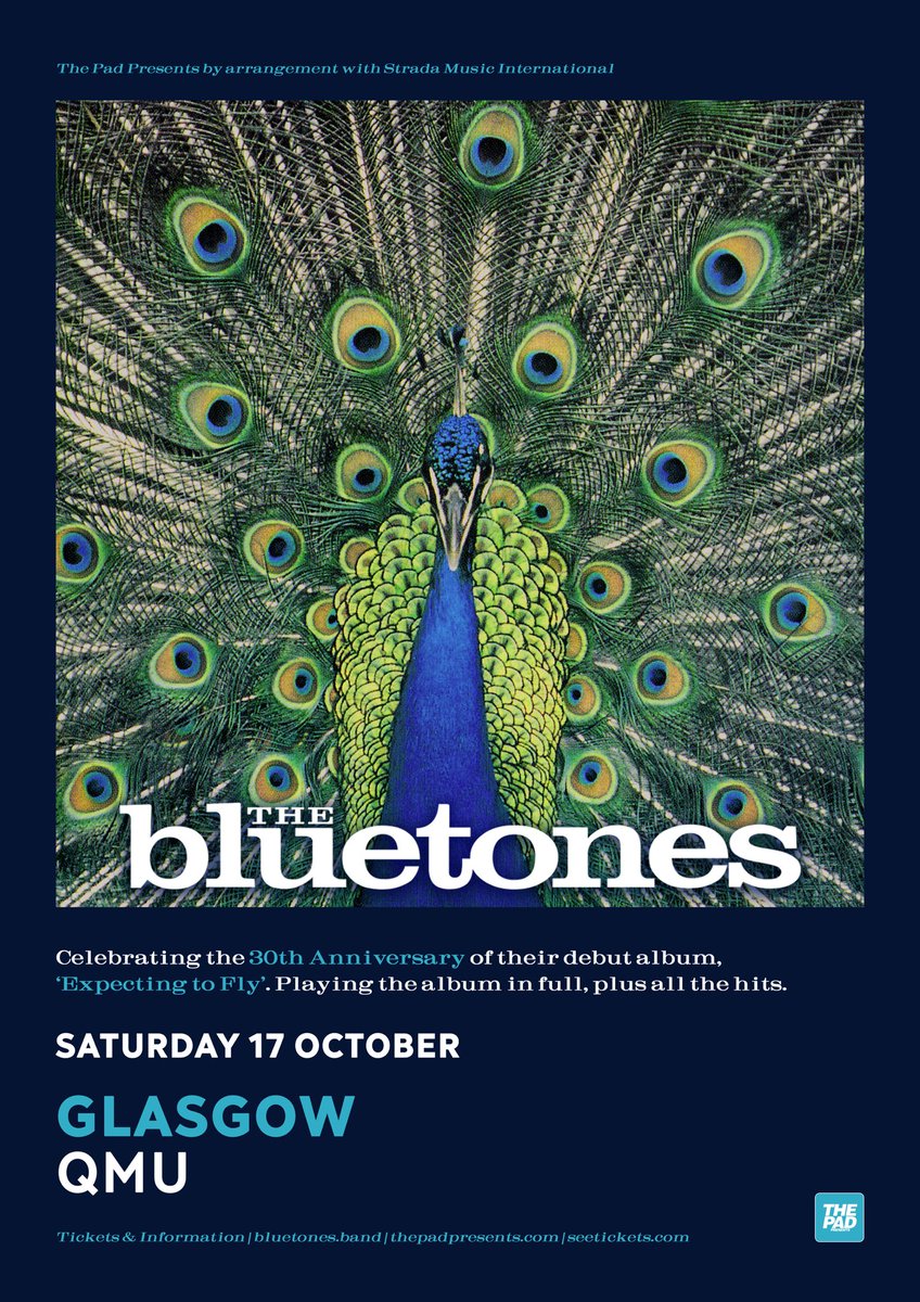 The Bluetones tweet media