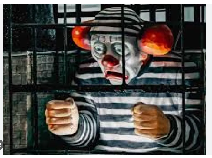 Evandro Silva tweet media