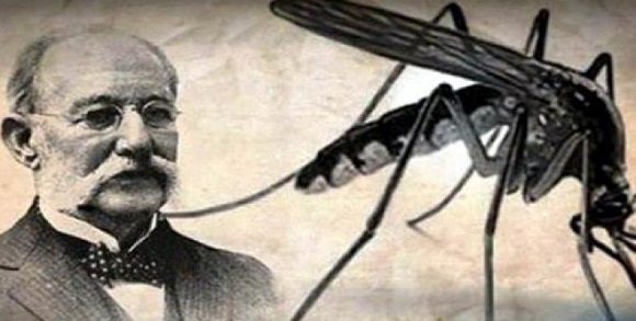 CITMAVCL's tweet photo. El 18 de febrero de 1881 expone en Washington, por primera vez, el médico y científico cubano Carlos Juan #Finlay, su teoría de la transmisión de la fiebre amarilla por un agente transmisor, el mosquito sedes aegypti. https://t.co/3XDHynijbe