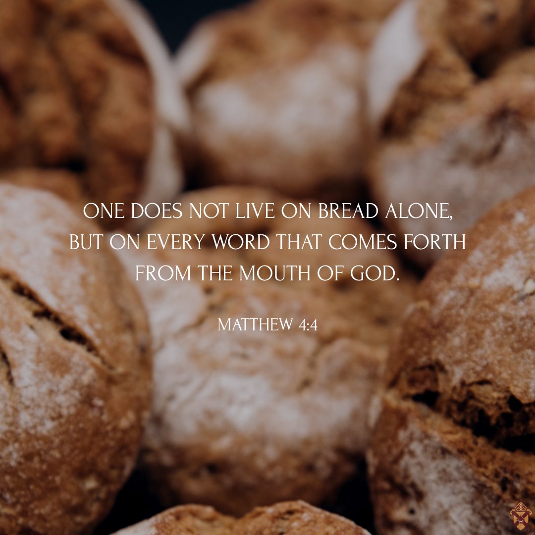 Diocese of Rochester tweet media