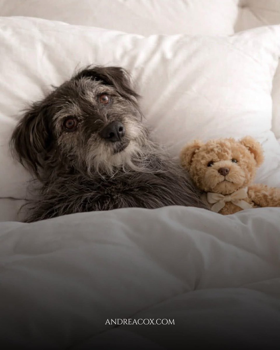 RAWChefAndrea's tweet image. Luckiest woman on earth 🌍

Roses. Chocolates. A handmade amulet. Pastel lingerie from the UK. A heartbeat teddy for Maverick.
One gift worth more than a car. 😳

Projection isn’t truth. Abundance flows quietly.

#Favored #Aligned #Grateful #abundance