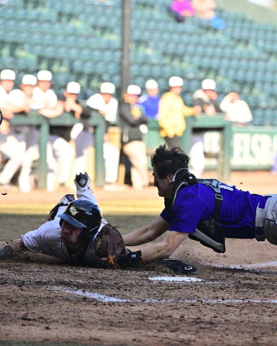 NCAA Baseball tweet media