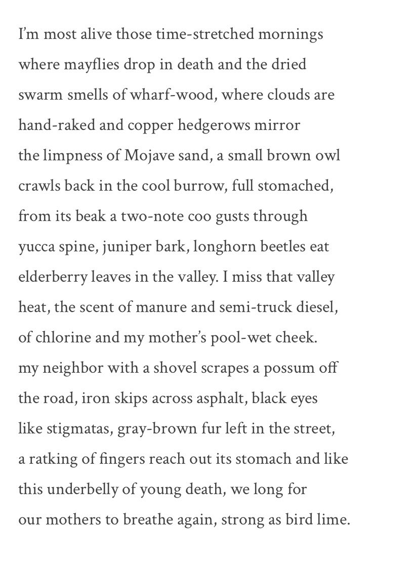Carson Sandell (they/them it/its)🏳️‍⚧️ tweet media