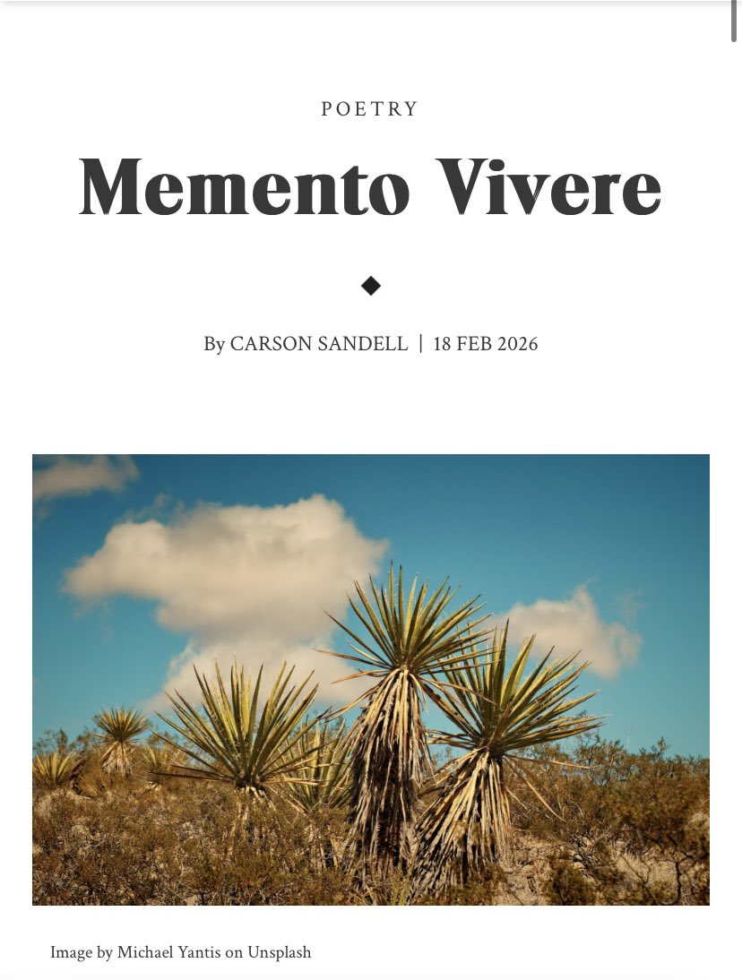 Carson Sandell (they/them it/its)🏳️‍⚧️ tweet media