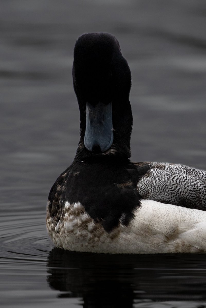 Sam Goddard tweet media