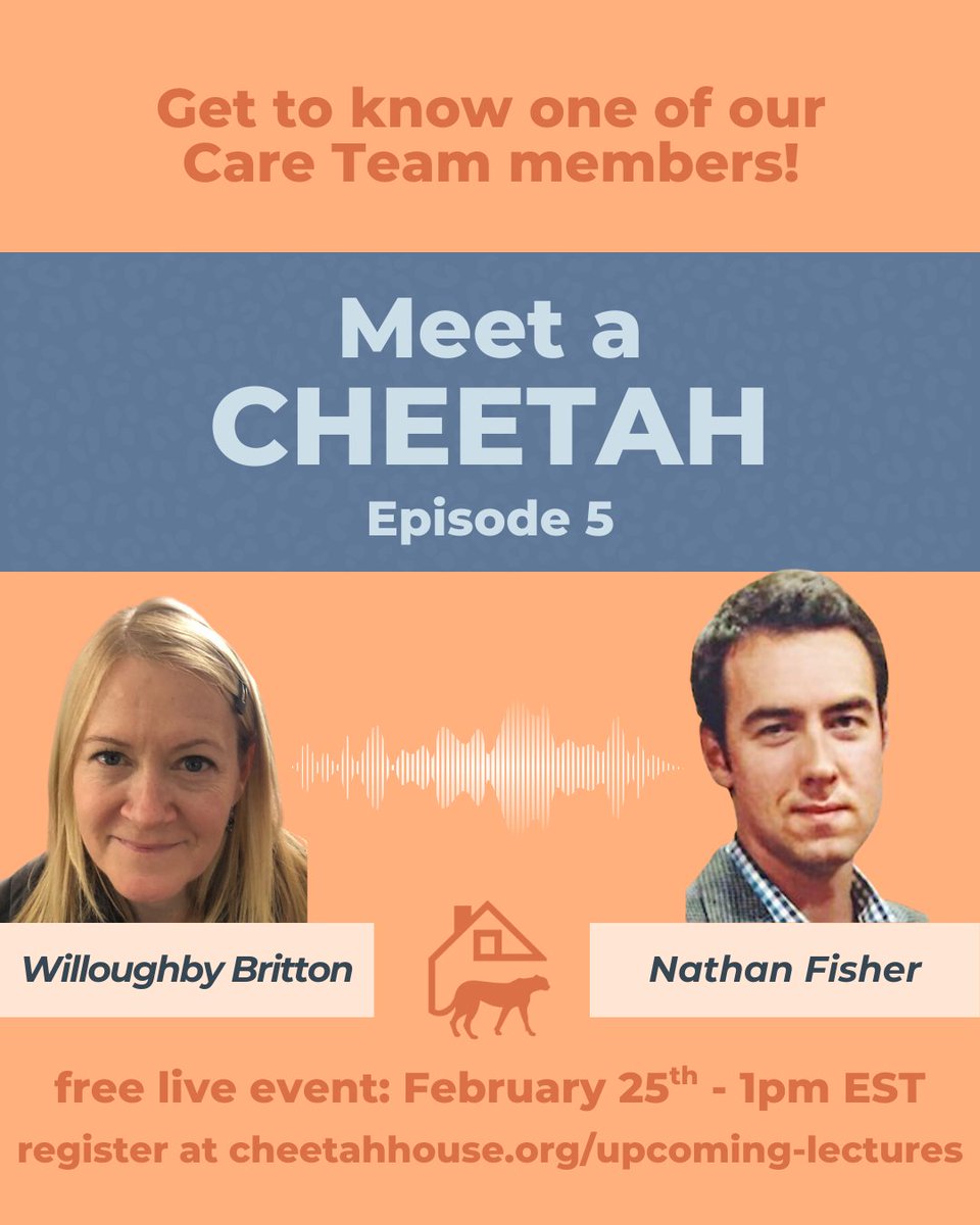 Cheetah House tweet media