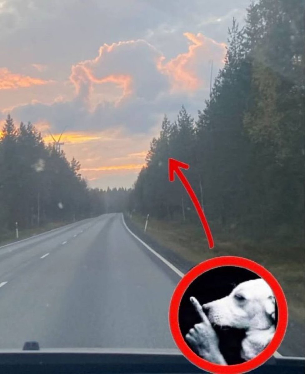 RetrAshado (@retrashado) on Twitter photo 