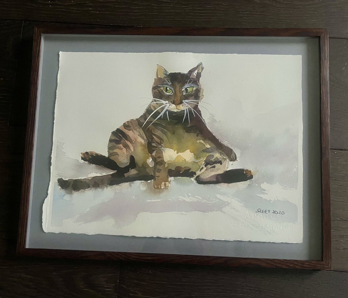 Jane Fallon tweet media