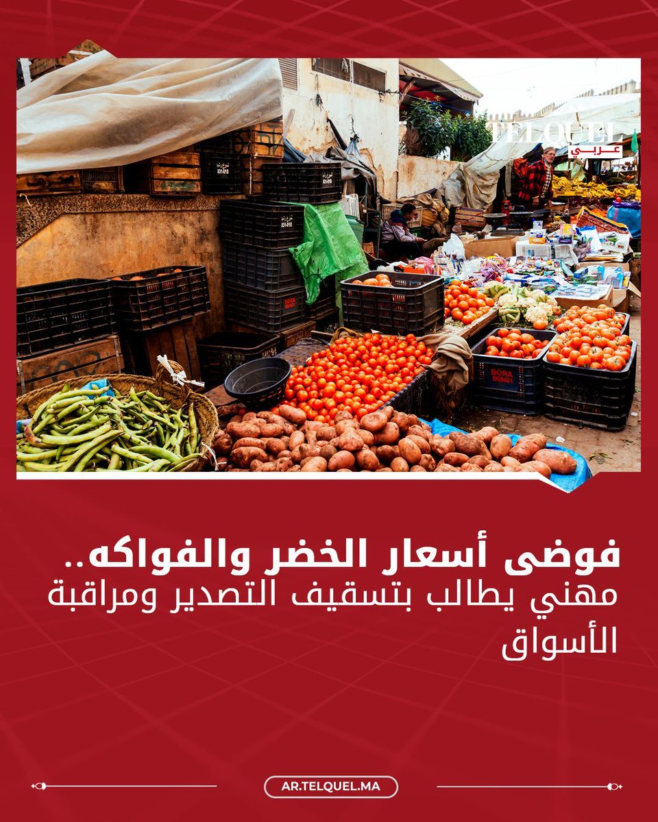 TelQuelArabi's tweet photo. يضرب شبح نقص المعروض من الخضروات المغرب وإسبانيا، حيث تأثرت المحاصيل المزروعة في البيوت المحمية مثل الخيار والطماطم الكرزية والفلفل، نتيجة الطقس..

🛑 اقـرأ المزيــــد : https://t.co/2V7KXkSJp1 
#المغرب #أسعار_الخضر #تيلكيل_عربي https://t.co/fmWHFv47Nz