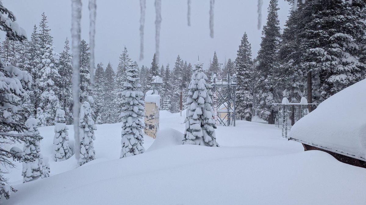 UC Berkeley Central Sierra Snow Lab tweet media