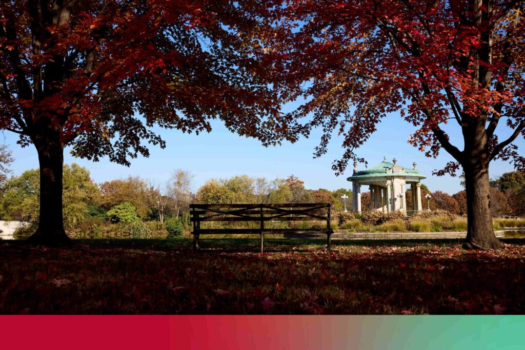 WashU Medicine Division of Cardiothoracic Surgery tweet media