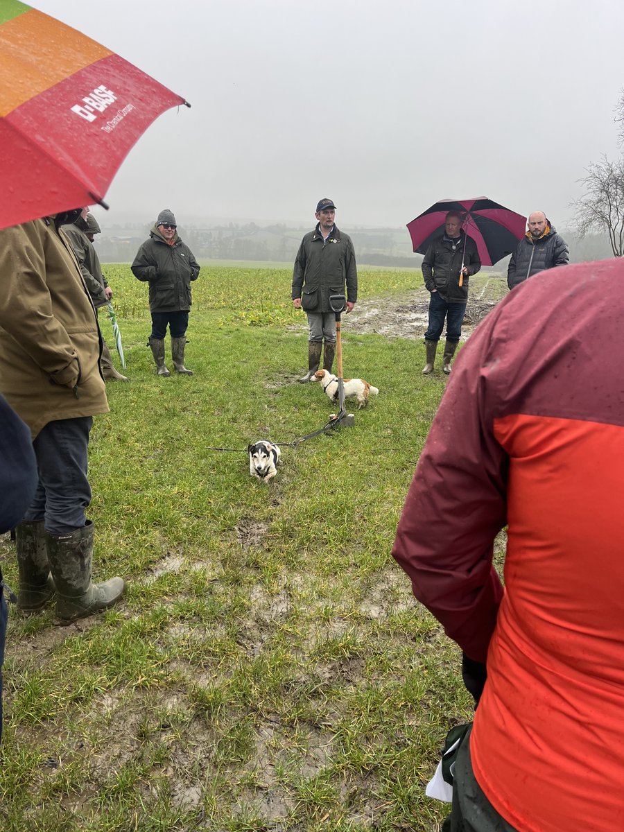 BASF Agricultural Solutions UK tweet media