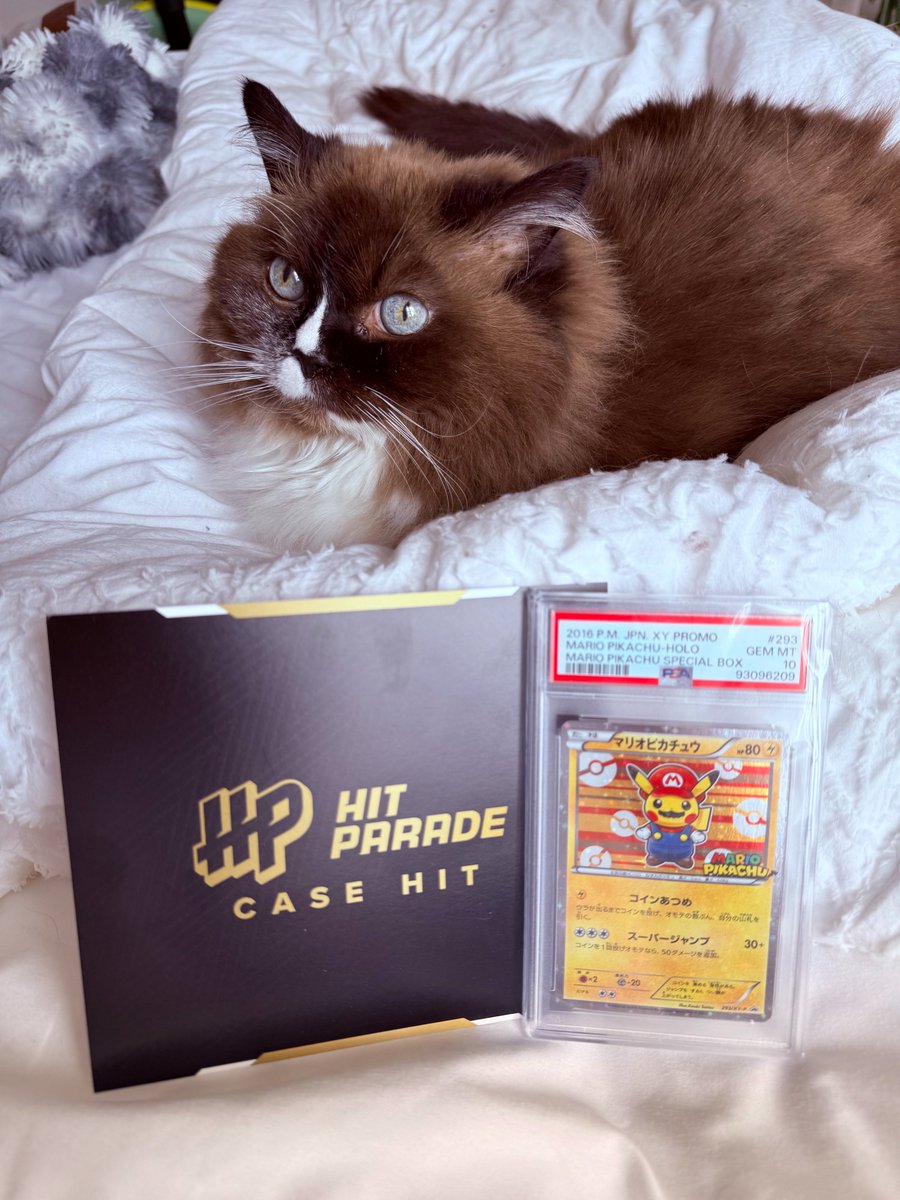 Hit Parade tweet media