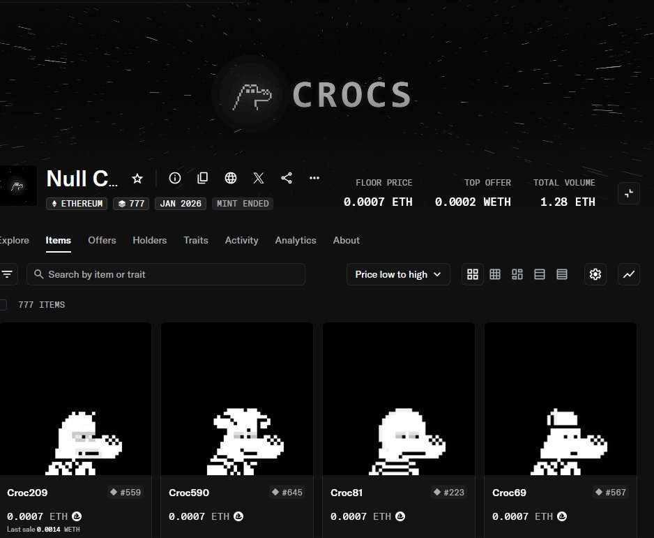 Nullcrocs tweet media
