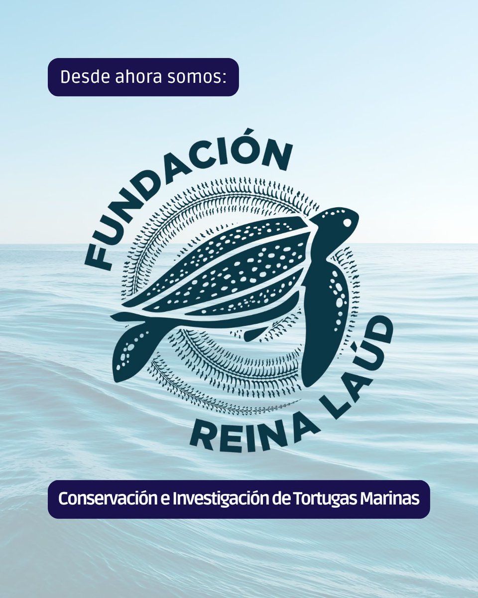 Fundación Reina Laúd tweet media
