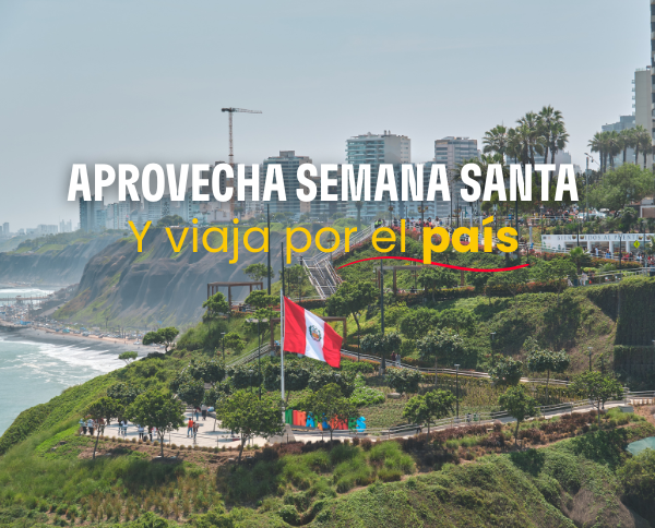 ✈️🌎 ¿Listo para tu próxima escapada?
Descubre nuestros paquetes turísticos en Perú con vuelo + hotel y vive una experiencia inolvidable 🇵🇪

Reserva hoy al mejor precio 👉 atrapalo.pe/viajes/paquete…

#ViajesPerú #PaquetesTurísticos #OfertasDeViaje